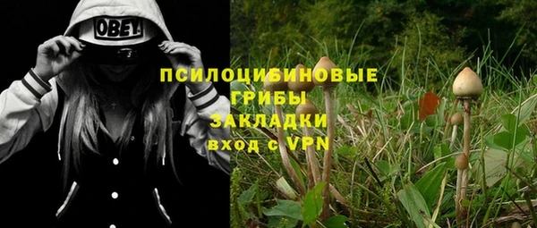 прущая мука Пересвет