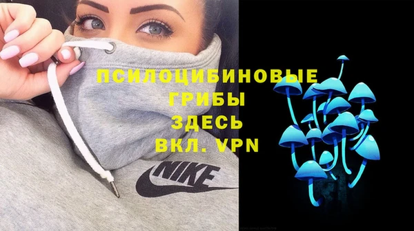 соль курить ск Переславль-Залесский
