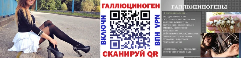 Псилоцибиновые грибы Psilocybine cubensis  Анива 